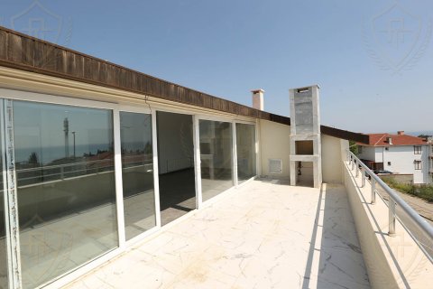 4+1 Villa i Bueyuekcekmece, istanbul, Turkiet Nr. 131199 - 10