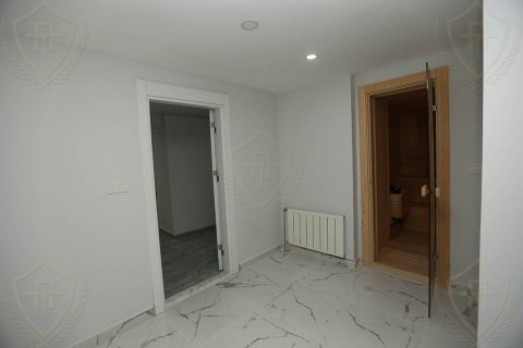 4+1 Villa i Bueyuekcekmece, istanbul, Turkiet Nr. 131199 - 27