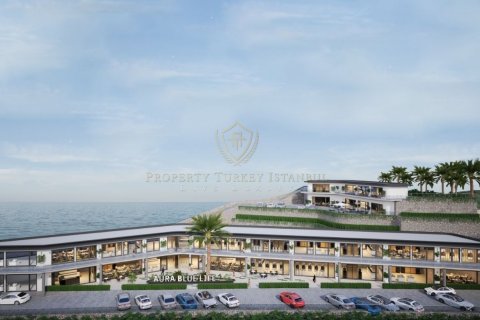 2+1 Villa in Milas, Mugla, Turkey No. 136940