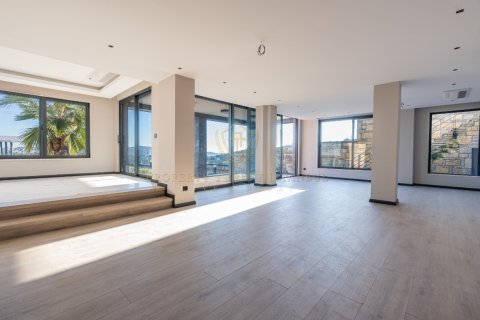 12+1 Villa i Bodrum, Mugla, Turkiet Nr. 147776 - 9