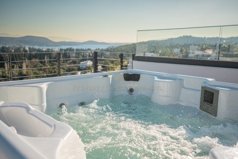 12+1 Villa i Bodrum, Mugla, Turkiet Nr. 147776 - 16