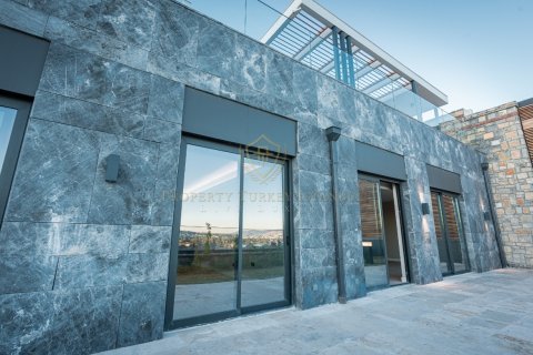 12+1 Villa i Bodrum, Mugla, Turkiet Nr. 147776 - 19