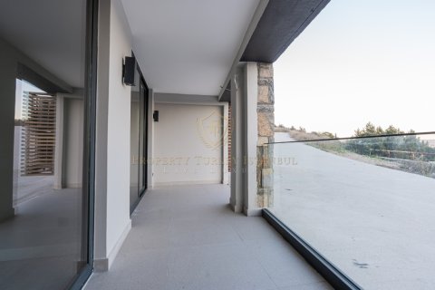 12+1 Villa in Bodrum, Mugla, Turkey No. 147776