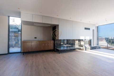 12+1 Villa i Bodrum, Mugla, Turkiet Nr. 147776 - 13