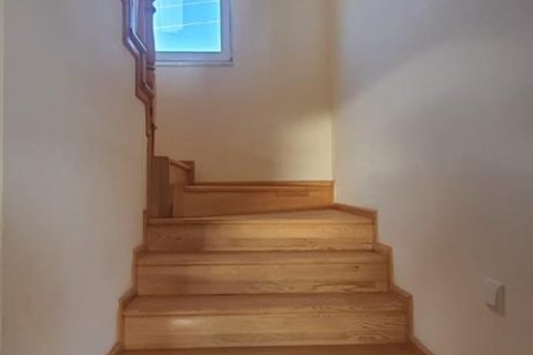 Villa 7+1 Okurcalar, Alanya, Antalya, Türkiye №113471 - 25