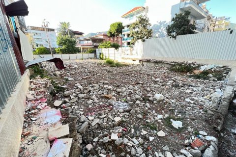 Tom  i Alanya, Antalya, Tyrkiet Nr. 144553 - 3