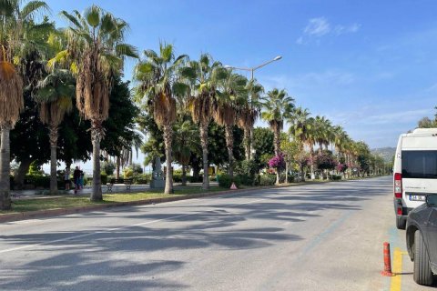 Tom  i Alanya, Antalya, Tyrkiet Nr. 144553 - 5