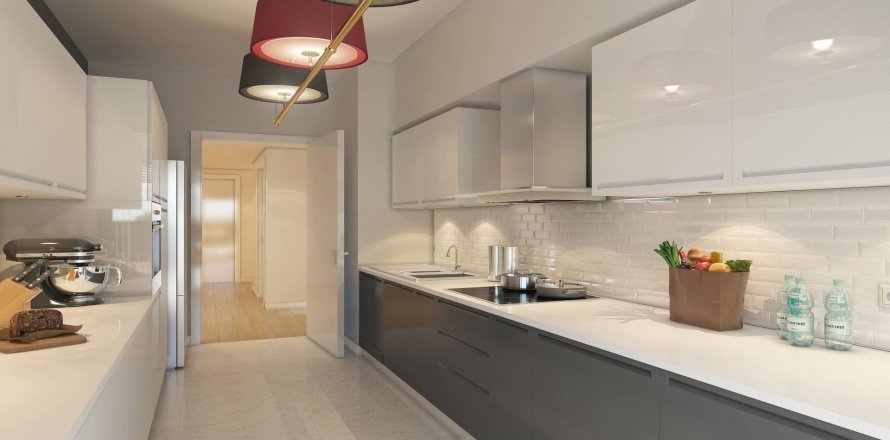 4+1 Leilighet i DKY Kartal, Istanbul, Tyrkia Nr. 147318