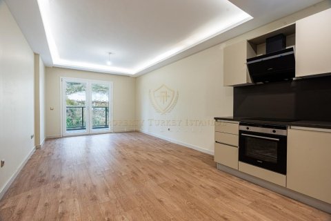 2+1 Lägenhet i Istanbul, istanbul, Turkiet Nr. 147902 - 4