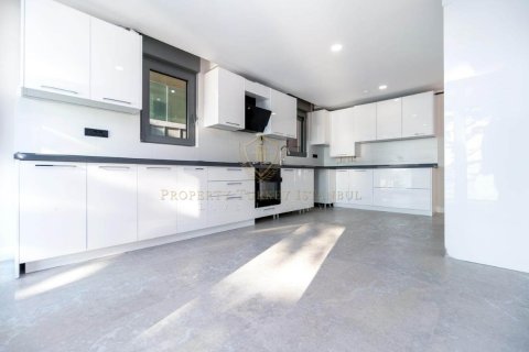 5+1 Wohnung  in Üsküdar, Istanbul, Türkei Nr. 131319