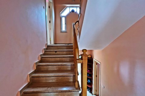 Villa i Kestel, Antalya, Tyrkia Nr. 145724 - 26