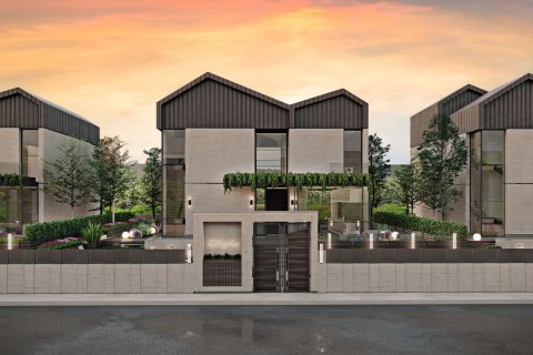 Novus Golyali i ankara, Turkiet Nr.147635 - 3