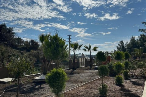 1+1 Lejlighed  i Avsallar, Antalya, Tyrkiet Nr. 115421 - 16