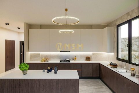5+1 Lejlighed i Alanya, Antalya, Tyrkiet Nr. 112434 - 30