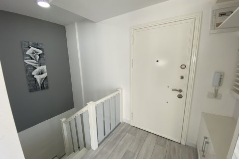 2+1 Lägenhet  i Mahmutlar, Antalya, Turkiet Nr. 118032 - 10