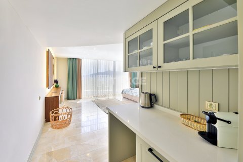 5+1 Villa  i Kas, Antalya, Tyrkia Nr. 193853 - 28