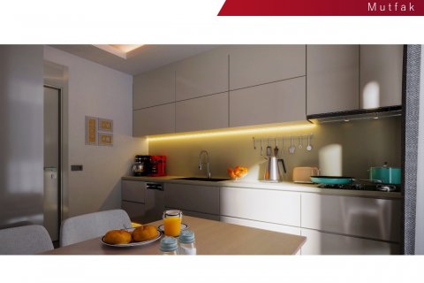 4+1 Apartment in ALPİŞ LADEN HOUSE, Bursa, Turkey No. 190098