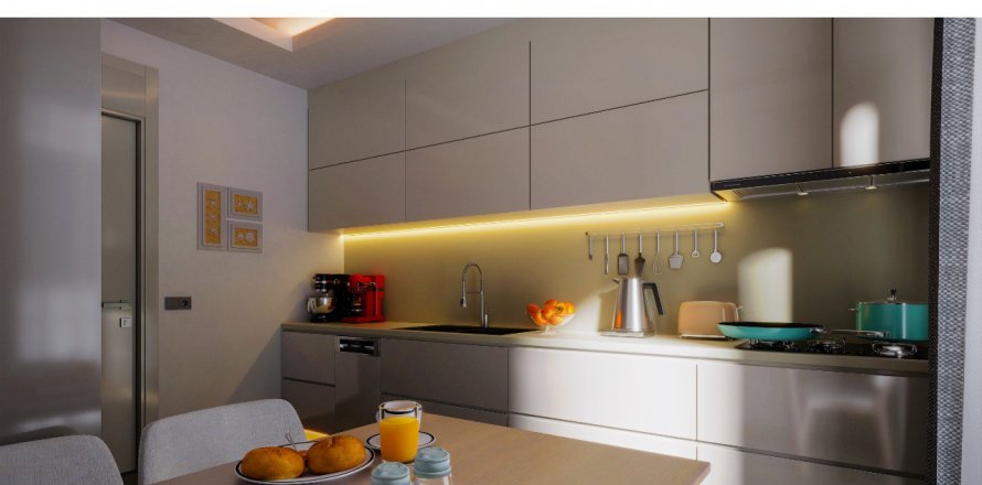 4+1 Leilighet i ALPİŞ LADEN HOUSE, Bursa, Tyrkia Nr. 190098