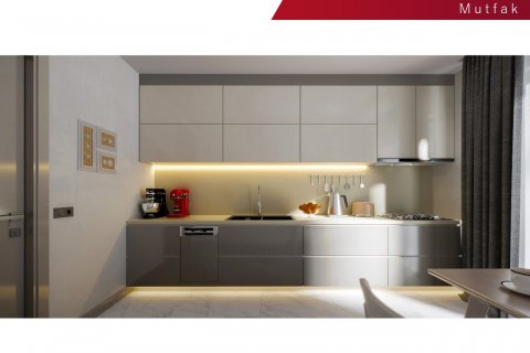 4+1 Apartment in ALPİŞ LADEN HOUSE, Bursa, Turkey No. 190097