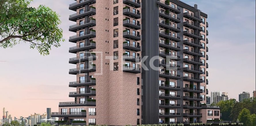Kontor i Istanbul, Tyrkia Nr. 210299
