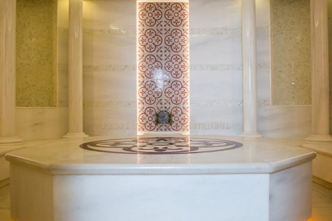 Villa 3+1 İstanbul, Türkiye №131227 - 6