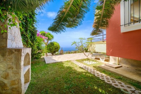 Lejlighed i Alanya, Antalya, Tyrkiet Nr. 144838 - 14