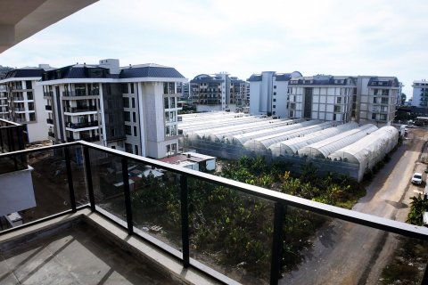 2+1 Leilighet i Alanya, Antalya, Tyrkia Nr. 211232 - 11