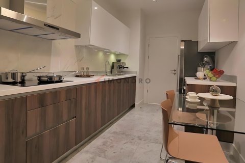 5+1 Leilighet i Basaksehir, Istanbul, Tyrkia Nr. 152759 - 12