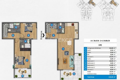 1+1 Wohnung in Alanya, Antalya, Türkei Nr. 150399 - 12