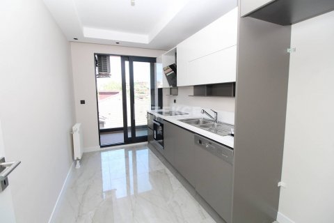 3+1 Lägenhet i istanbul, Turkiet Nr. 45179 - 20
