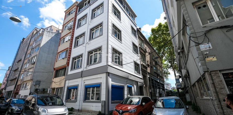 12+5 Villa  i istanbul, Turkiet Nr. 113569