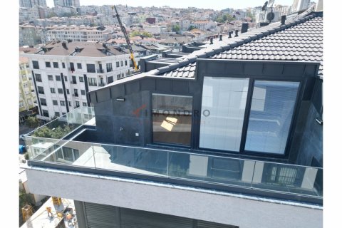 4+1 Lägenhet i Besiktas, Istanbul, istanbul, Turkiet Nr. 210141 - 2