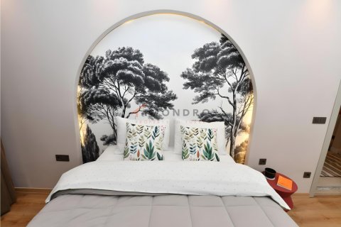 Daire 2+1 Beyoğlu, İstanbul, Türkiye №206962 - 30