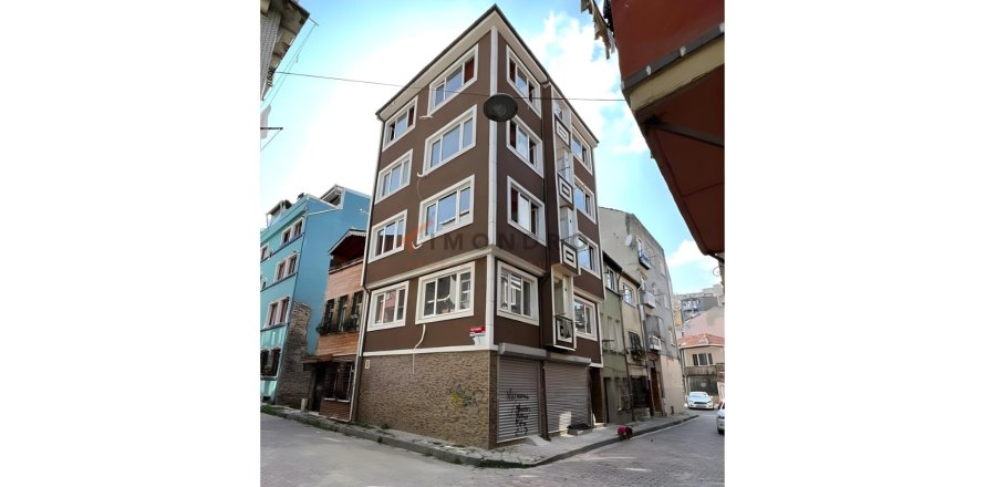 Villa 9+1 Fatih, İstanbul, Türkiye №151676