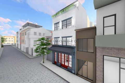 3+1 Villa i Fatih, Istanbul, Tyrkia Nr. 151689 - 3