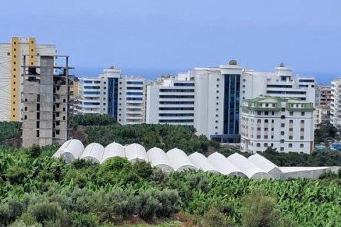 آپارتمان در  Mahmutlar ، ترکیه 43 متر مربع.  شماره 193919 - 12