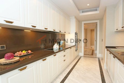 3+1 Lejlighed i Zeytinburnu, Istanbul, Tyrkiet Nr. 152726 - 25