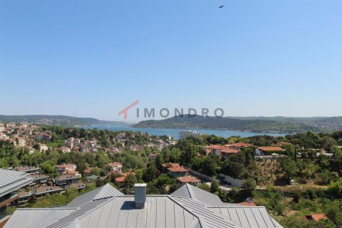 3+1 Wohnung in Sariyer, Istanbul, Türkei Nr. 152559 - 27