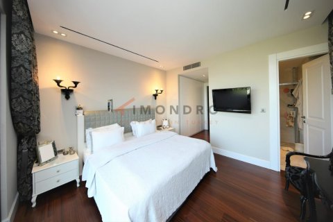 3+1 Wohnung in Sariyer, Istanbul, Türkei Nr. 152559 - 15