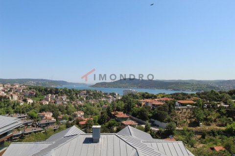 4+1 Leilighet i Sariyer, Istanbul, Tyrkia Nr. 152560 - 27