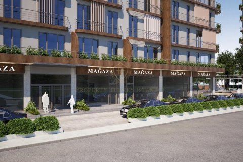 2+1 Lägenhet i Istanbul, istanbul, Turkiet Nr. 147865 - 10