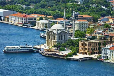 Bringing pets into Turkey in 2023