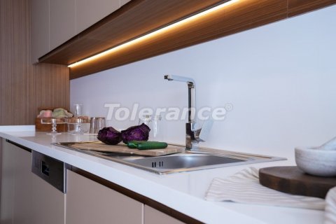 1+1 Leilighet  i Istanbul, Tyrkia Nr. 138864 - 9