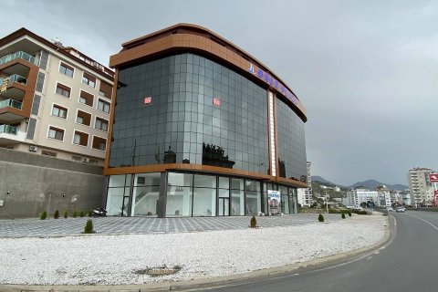 Продажа коммерческой недвижимости  в Аланье, Анталье, Турция, 150м2, №136174 – фото 8