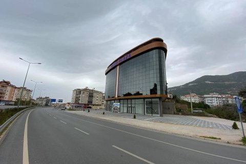 Продажа коммерческой недвижимости  в Аланье, Анталье, Турция, 150м2, №136174 – фото 7