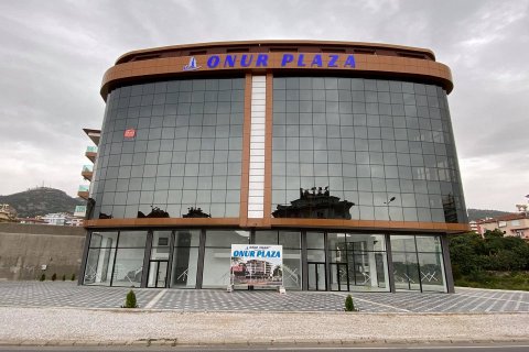 Продажа коммерческой недвижимости  в Аланье, Анталье, Турция, 150м2, №136174 – фото 9