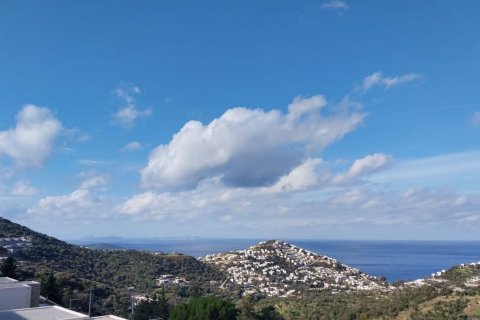 4+1 Villa  i Yalikavak, Mugla, Turkiet Nr. 189319 - 2