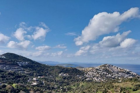 4+1 Villa  i Yalikavak, Mugla, Turkiet Nr. 189319 - 3