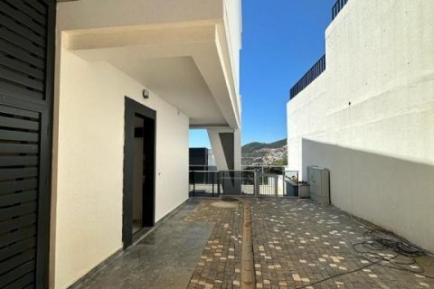 Villa  i Alanya, Antalya, Tyrkia Nr. 193306 - 22