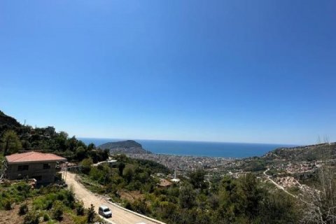 Villa  i Alanya, Antalya, Tyrkia Nr. 193306 - 20